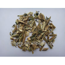 Dried Nettle leaf,Urtica dioica,Urtica cannabina,Urtica angustifolia,Hempleaf nettle leaves,Herba urticae,Smartweed,Qian ma